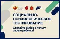 Ежегодное всероссийское тестирование  школьника.